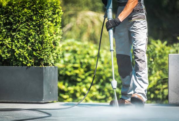 Best Building Exterior Washing  in Chelsea Cove, NY